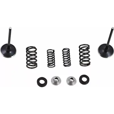 Intake Stainless Valve and Spring Kit