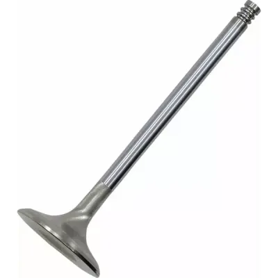 White Diamond® Engine Valve