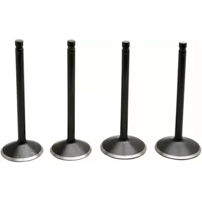 Black Diamond™ Engine Valve Kit