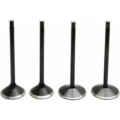 Black Diamond™ Engine Valve Kit