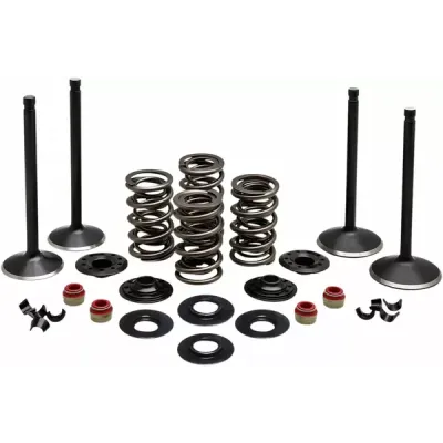 Engine Valve Kit