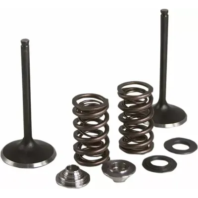 Intake Stainless Conversion Valve and Spring Kit
