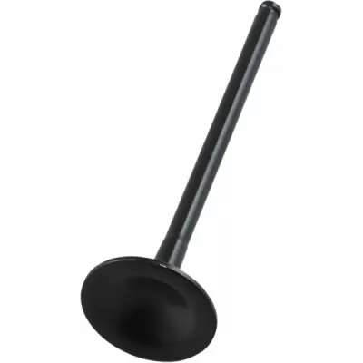 Black Diamond™ Engine Valve