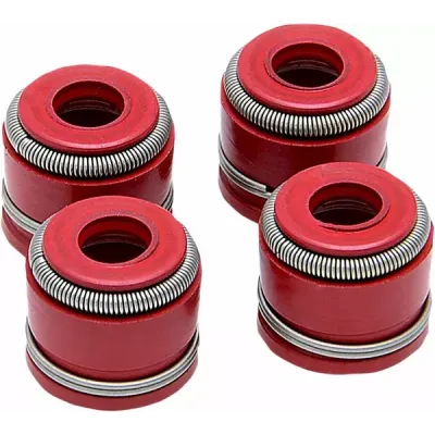 Valve Guide Seal Kit