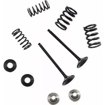 Exhaust Stainless Valve and Spring Kit