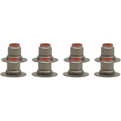 Valve Seals