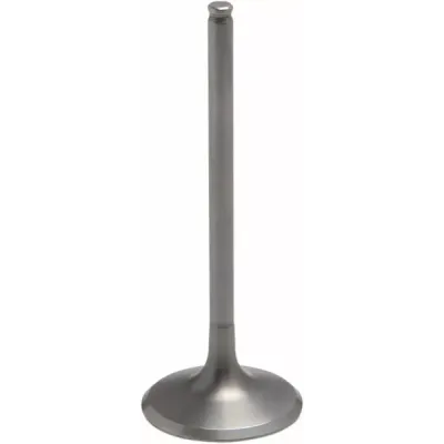 Tensilite® Titanium Engine Valve