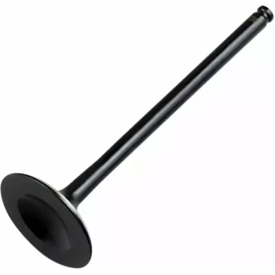 Replacement Valve