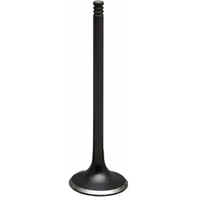 Nitrided Valve
