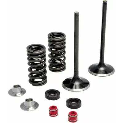Intake Stainless Conversion Valve and Spring Kit