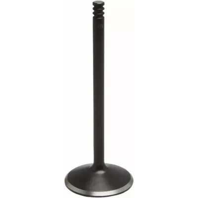 Nitrided Valve