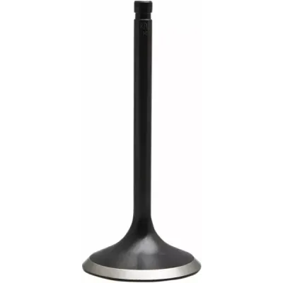 Nitrided Valve