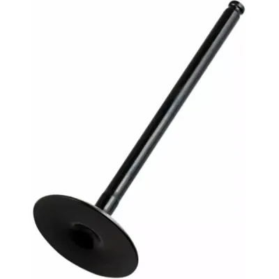 Replacement Valve
