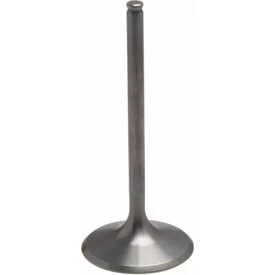 Tensilite® Titanium Engine Valve