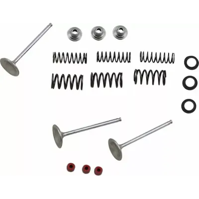 Intake Stainless Valve and Spring Kit