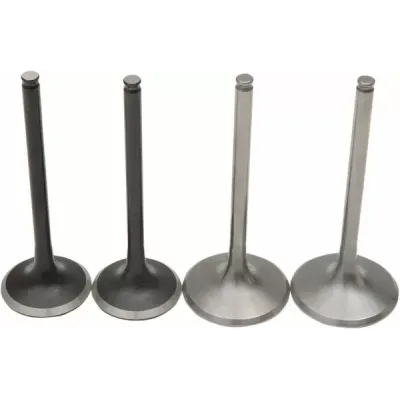 Pro Valve Kit