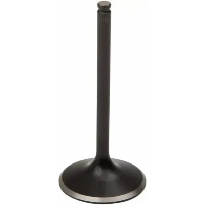 Black Diamond™ Engine Valve