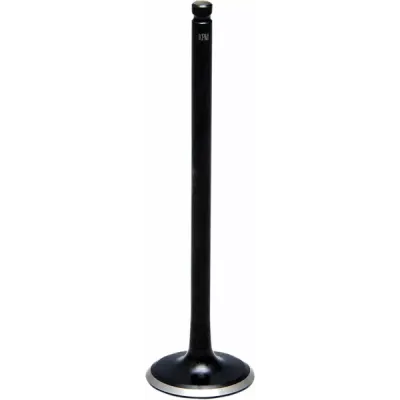 Black Diamond™ Engine Valve