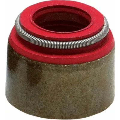 Valve Seals