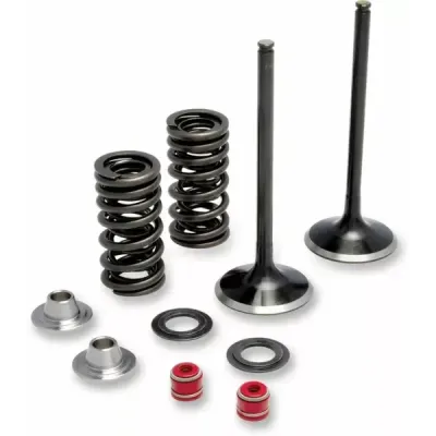 Exhaust Stainless Valve and Spring Kit