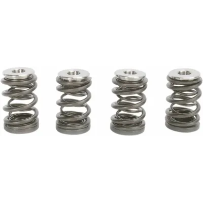 Valve Spring Kit