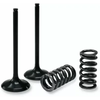 Valve and Spring Kit