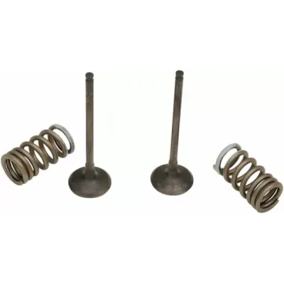 Valve and Spring Kit