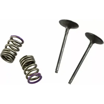 Valve and Spring Kit