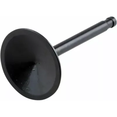 Nitrided Valve