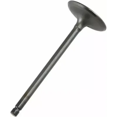 Engine Valve