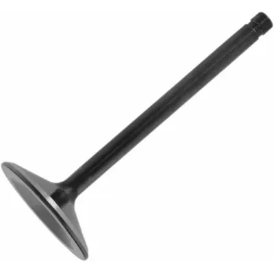 Nitrided Valve