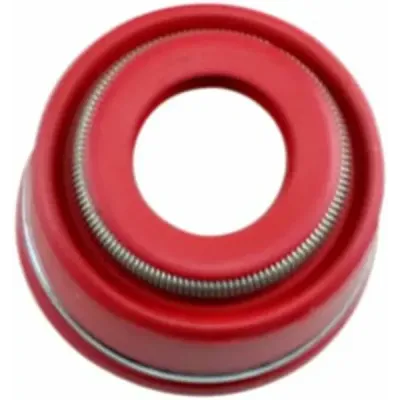 Valve Seals