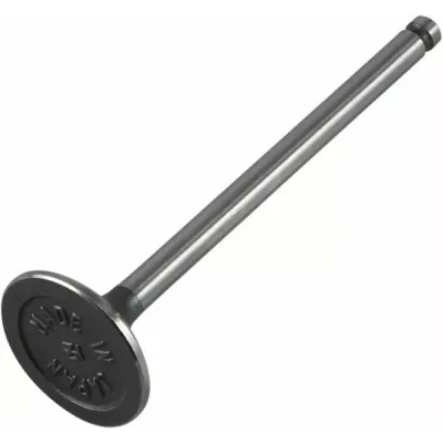 Engine Valve