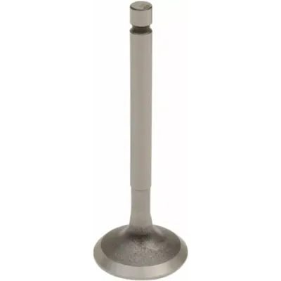Engine Valve
