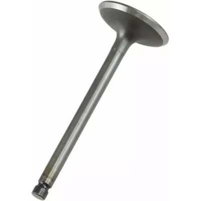Engine Valve