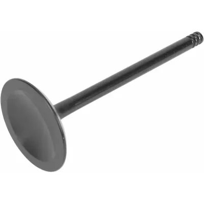 Nitrided Valve