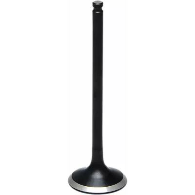 Diamant negru™ Supapă de motor