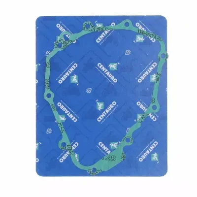 Ignition Gasket