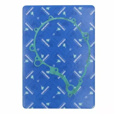 Ignition Gasket
