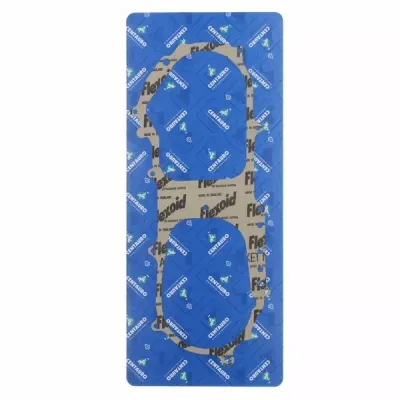 Ignition Gasket