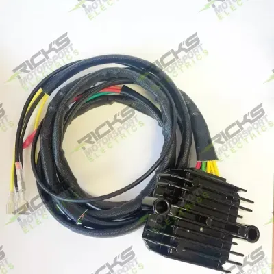 Rectificator și Regulator BMW