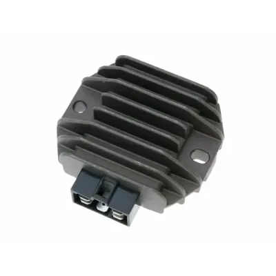 Rectificator/Regulator