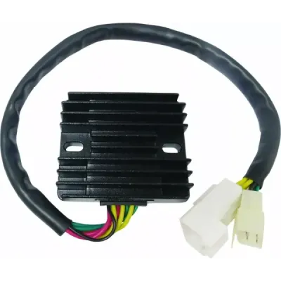 Reg / Rectifier