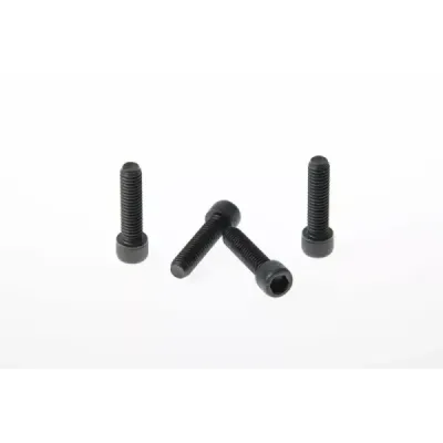 Fork Triple Clamp Screws