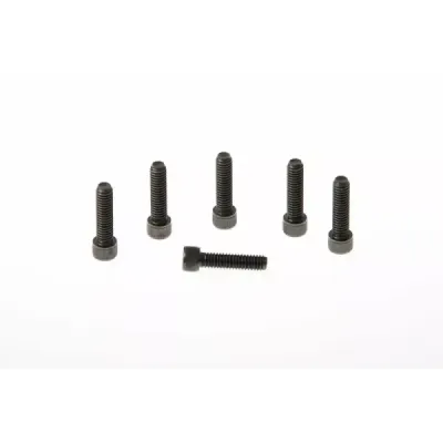 Fork Triple Clamp Screws