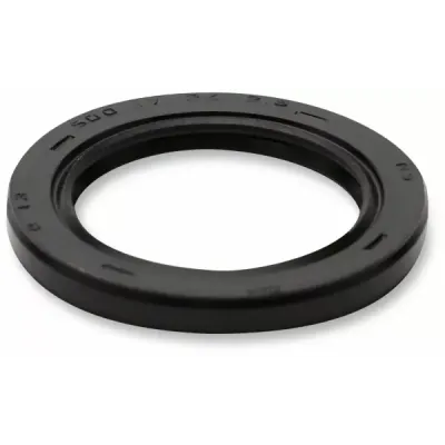 Dust Seal