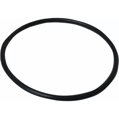 Inel de etansare pentru pistonul amortizorului din spate