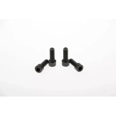 Fork Bridge Screws