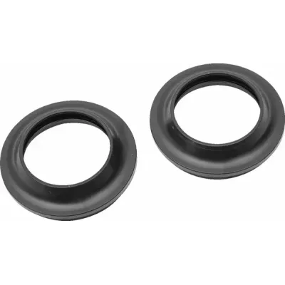 Dust Seal Kit