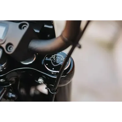 Fork Caps